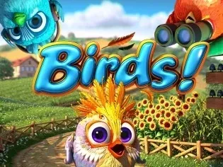 Birds game thumbnail